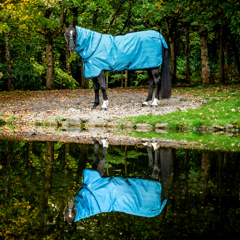 Horseware Amigo Hero 900 Revive Plus 50g Turnout Rug - Ocean Blue/Navy/Electric Blue-3